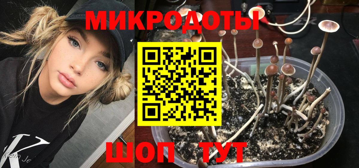 Балашиха  Галлюциногенные грибы ЛСД  Псилоцибиновые грибы прущие грибы  Вход с VPN 